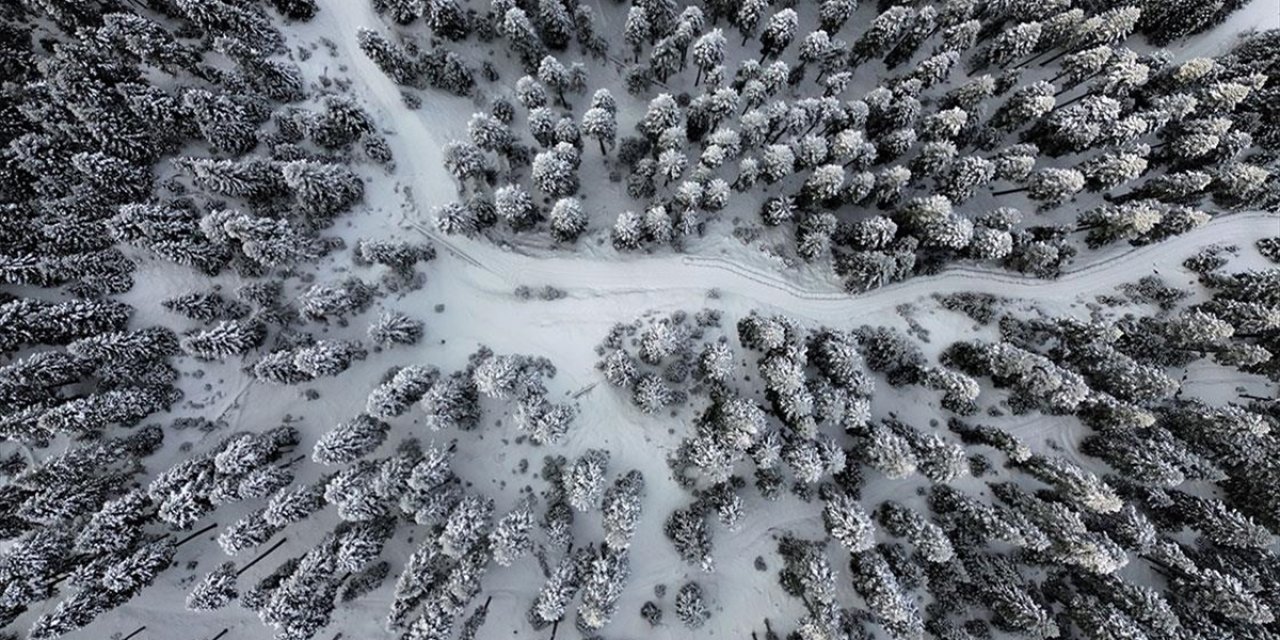 Anadolu'nun Yüce Dağı Ilgaz Doğa Tutkunlarını Cezbediyor