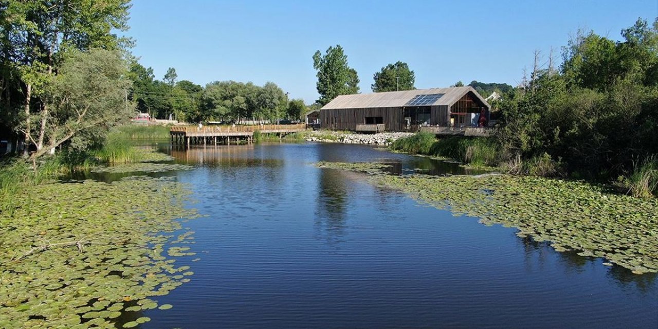 Sakarya'nın Doğal Güzellikleri Geçen Yıl 366 Bin Ziyaretçiyi Ağırladı