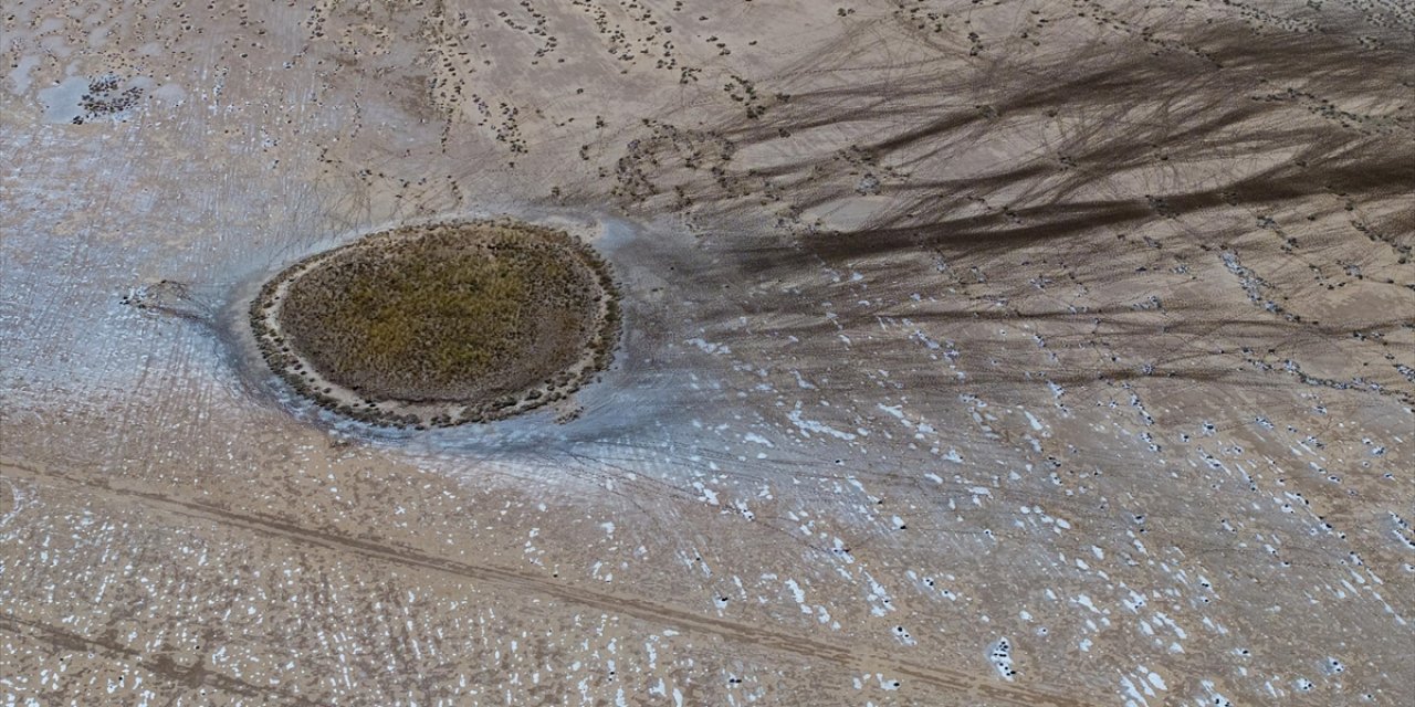 Tatlı Su Hayvanlarının Yaklaşık Dörtte Biri Yok Olma Tehlikesiyle Karşı Karşıya