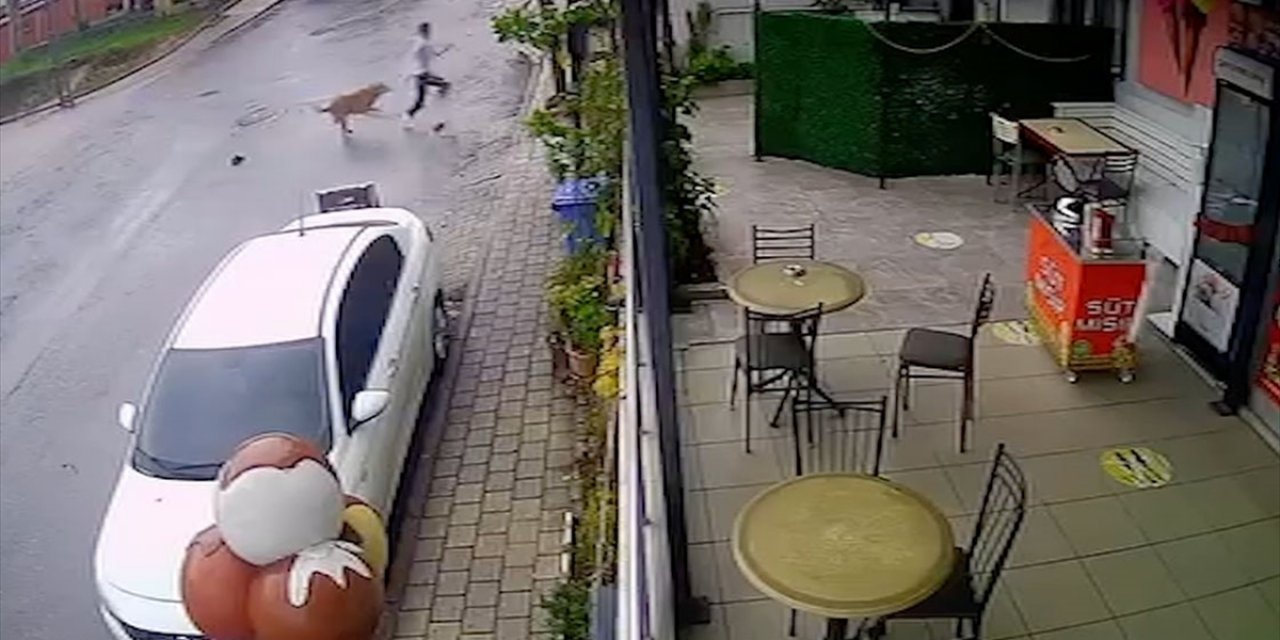 Sancaktepe'de Sahipsiz Köpeklerin 14 Yaşındaki Çocuğa Saldırısı Güvenlik Kamerasında