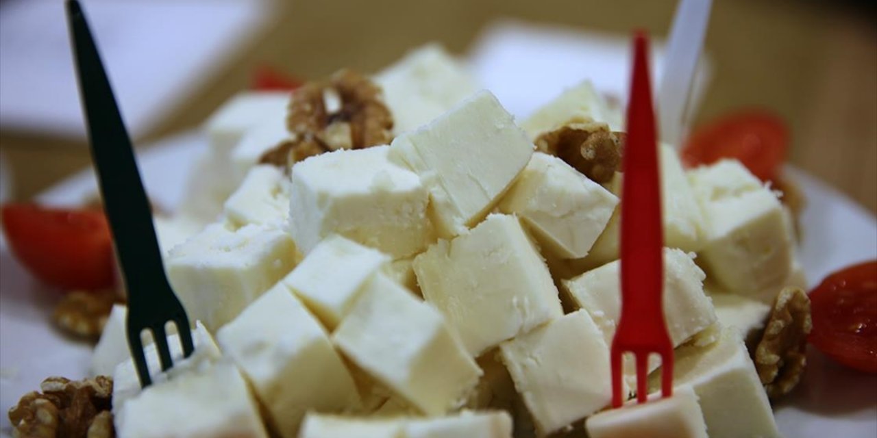 "Edirne Beyaz Peyniri" İçin AB'ye Coğrafi İşaret Başvurusu Yapıldı