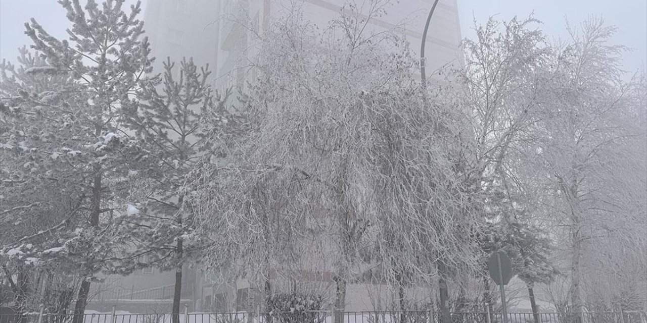 Doğu Anadolu'da 5 İlde Sis, Kırağı ve Buzlanma Oluştu
