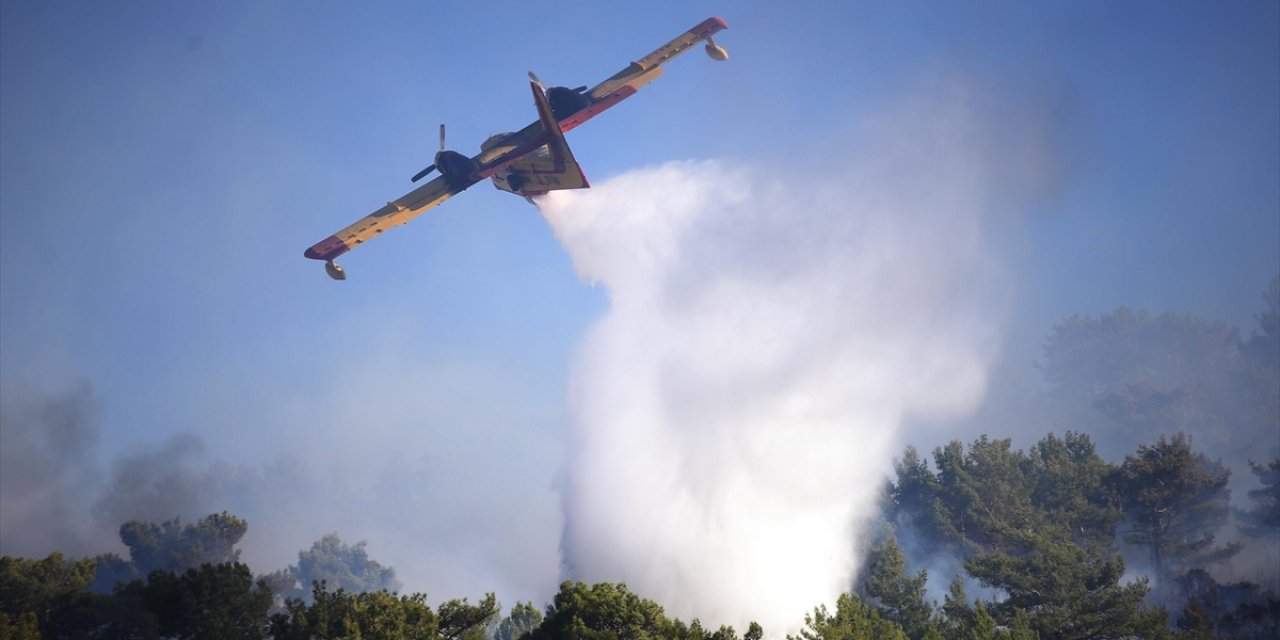 Muğla ve Aydın'da Geçen Yıl 384 Yangında 3 Bin 466 Hektar Alan Zarar Gördü