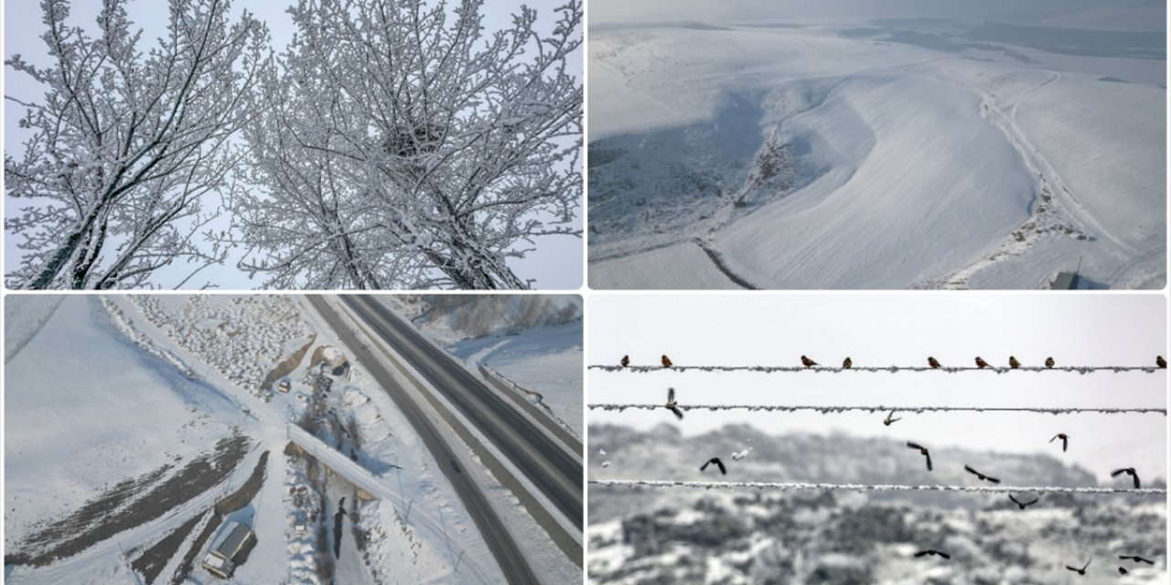 Iğdır ve Ağrı'da Dondurucu Soğuklar Etkili Oluyor