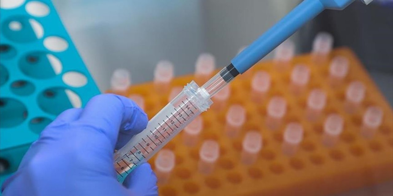 Araştırmacılar, İngiltere'de Demir Çağı'nda Anaerkil Toplumlar Olduğunu Keşfetti