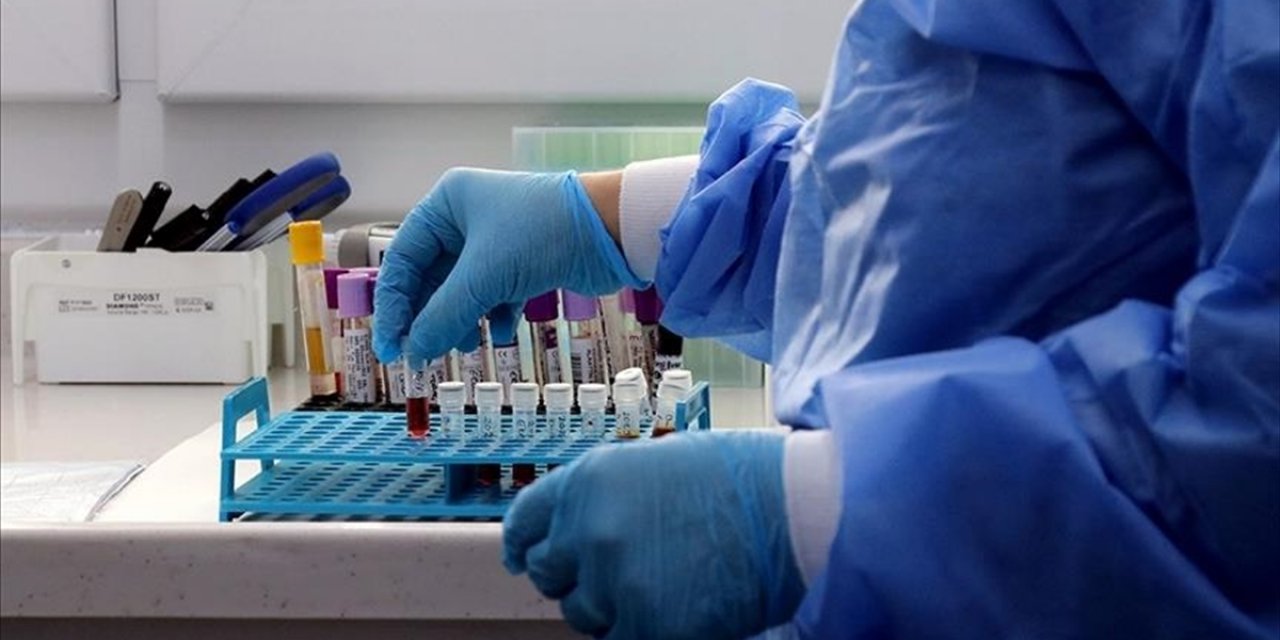 Alerji Gelişimini Engellemek İçin Erken Yaşta Doğru Beslenme Önem Arz Ediyor