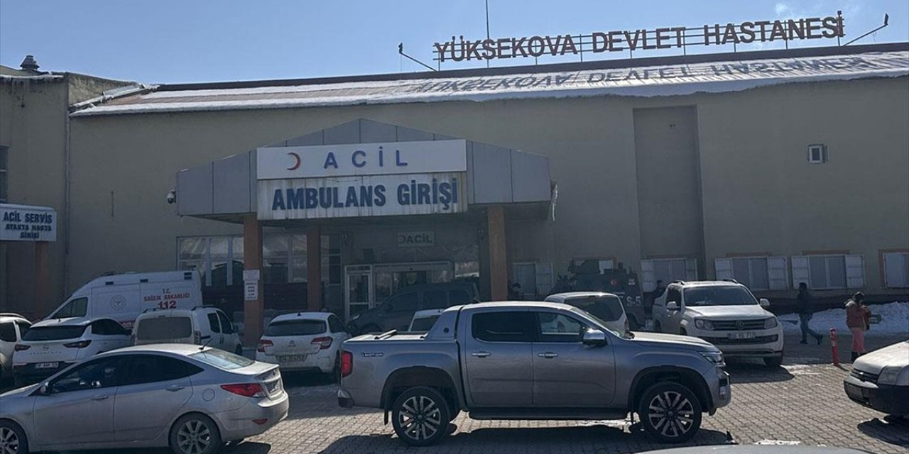 Hakkari'de Sahipsiz Köpeklerin Saldırısına Uğrayan Çocuk, Ağır Yaralandı