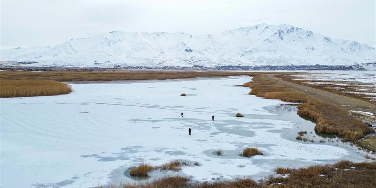 Van'daki Dilkaya Sazlığı'nın Büyük Bölümü Buzla Kaplandı