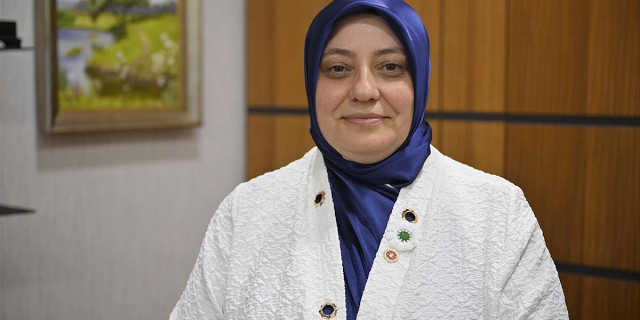 "Dijital Mecraların İktidarına Yasaklarla Değil Sınırlamalarla Çözüm" Önerisi