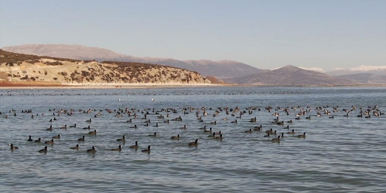 Göller Yöresi'nde Kış Ortası Su Kuşu Sayımı Yapılıyor