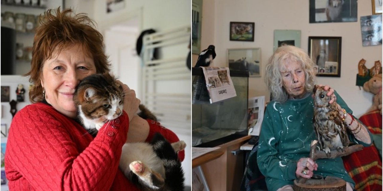Londra'nın Sahipsiz Kedi ve Yaralı Vahşi Kuşları İki Arkadaşa Emanet