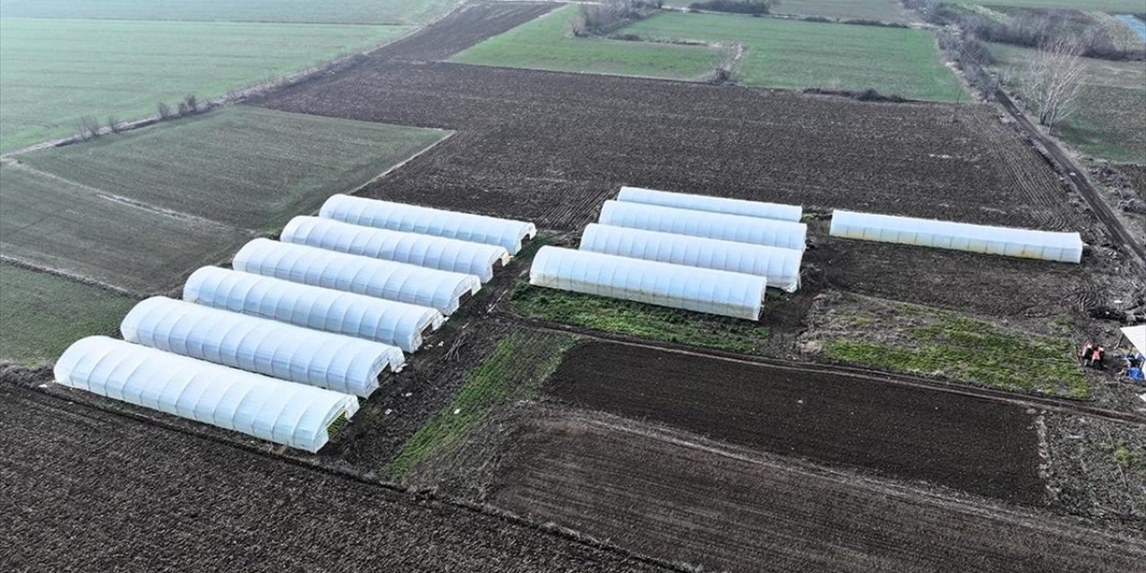 Edirne'de Seralara Sağlanan Devlet Desteği Üreticinin Yüzünü Güldürdü