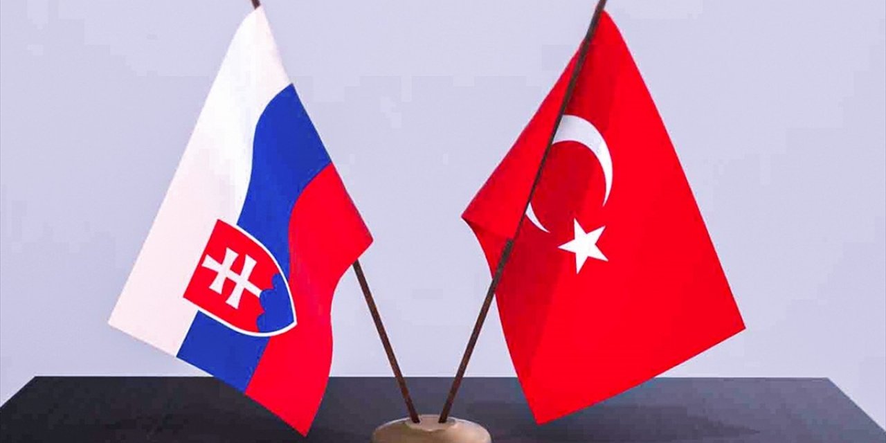Slovakya'nın Enerji Güvenliğinde Türkiye Alternatif ve Güvenilir Bir Kaynak Olabilir