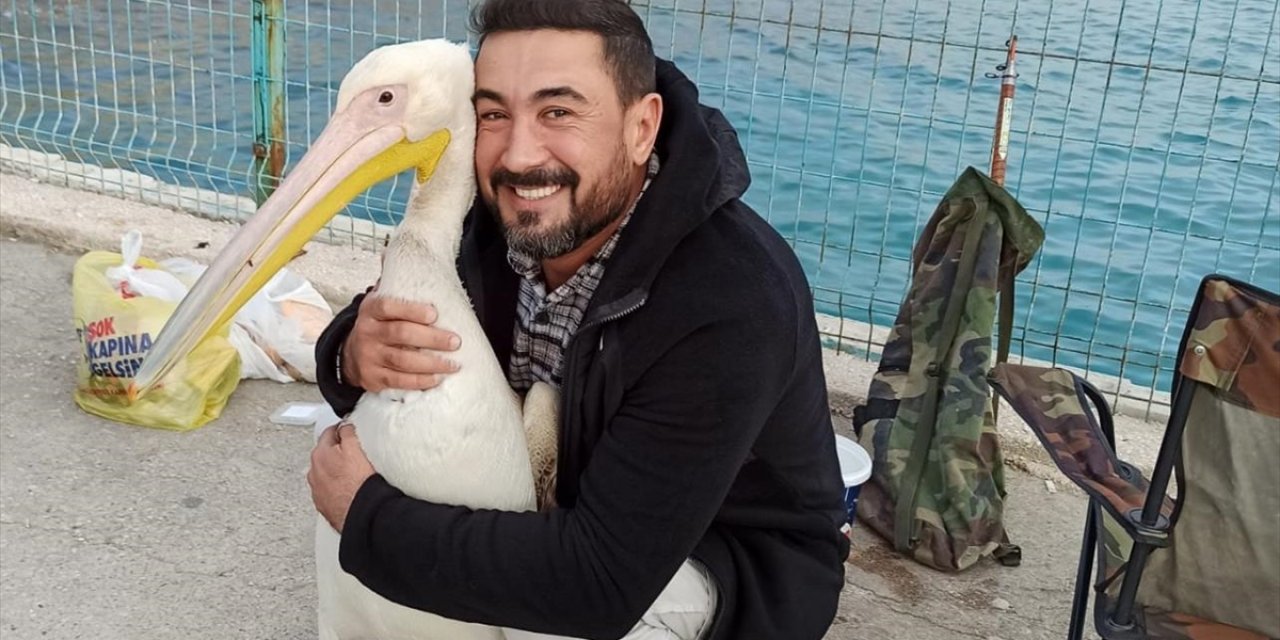 Mersin'de Balıkçılar Yanlarına Gelen Pelikanı Besledi