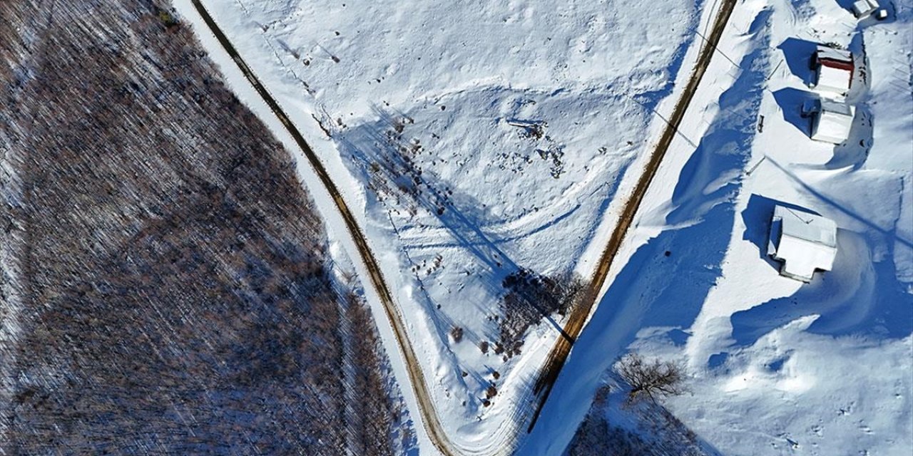 Kardüz Yaylası'ndaki Kış Manzaraları Havadan Görüntülendi