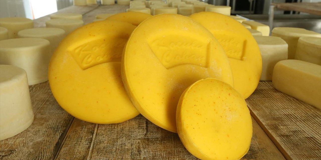 Kars'ın "Safranlı Peynir"i Lezzet Testleri Sonrası Tüketiciyle Buluşacak