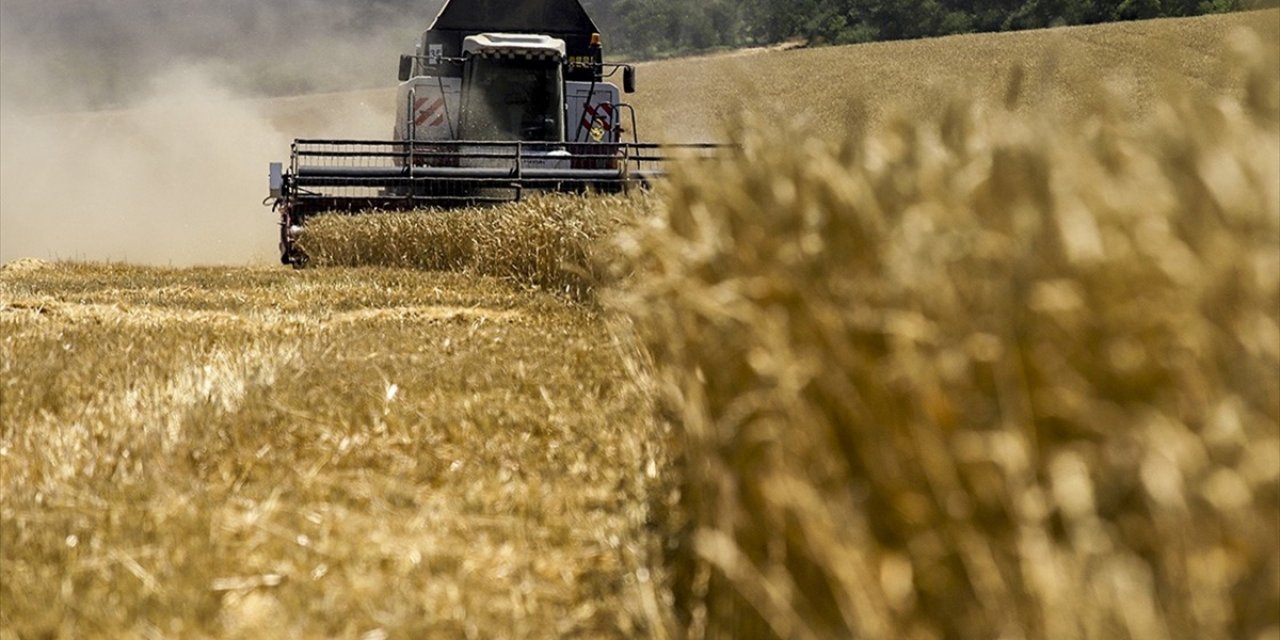 Rusya Mevcut Tarım Sezonunda 57 Milyon Ton Tahıl İhracatı Planlıyor