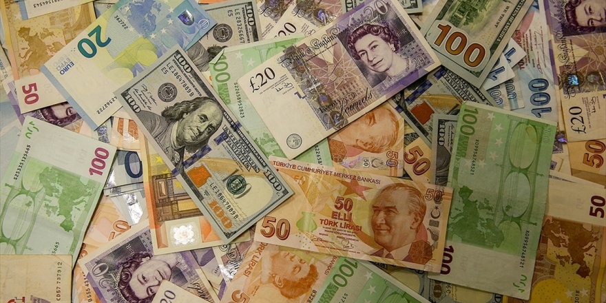 Milyonerler 7 Ayda 83,4 Milyar Liralık Döviz Aldı