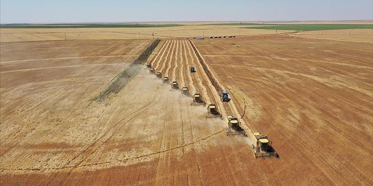 Çiftçilere Bugün Yaklaşık 985,9 Milyon Lira Tarımsal Destekleme Ödemesi Yapılacak