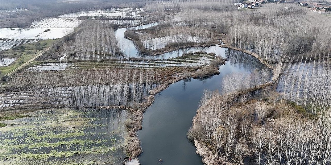 Acarlar Longozu Korunarak Geleceğe Taşınacak