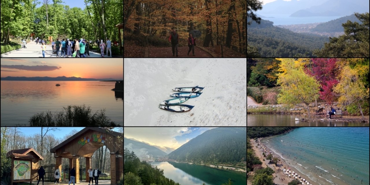 Korunan Alanlarda Ziyaretçi Sayısında 2024'te Son 10 Yılın Rekoru Kırıldı