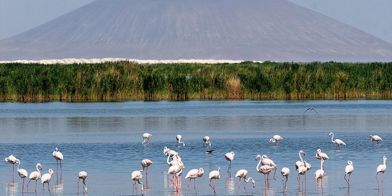 Türkiye'de 131 Sulak Alan Koruma Altında