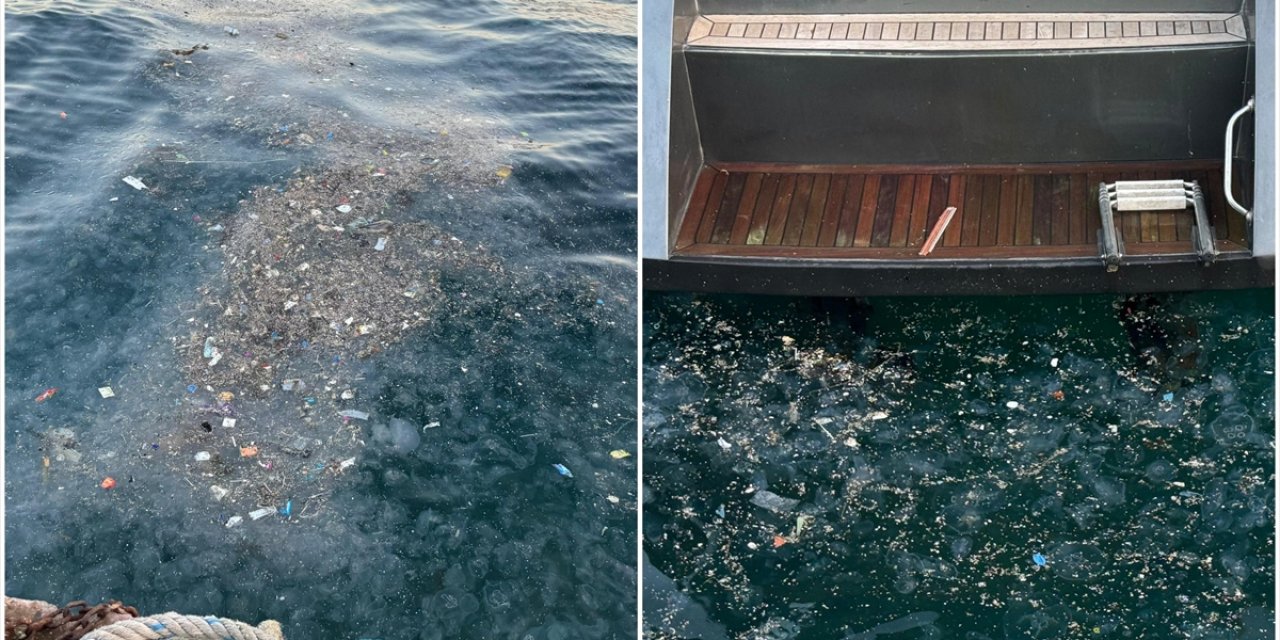 Beşiktaş'ta Deniz Kirliliği Vatandaşların Tepkisine Neden Oldu