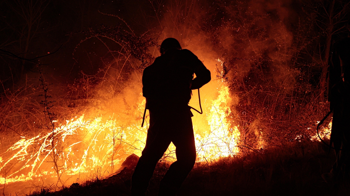 Arjantin'in Patagonya Bölgesindeki Orman Yangınlarından 20 Bin Hektarlık Alan Etkilendi