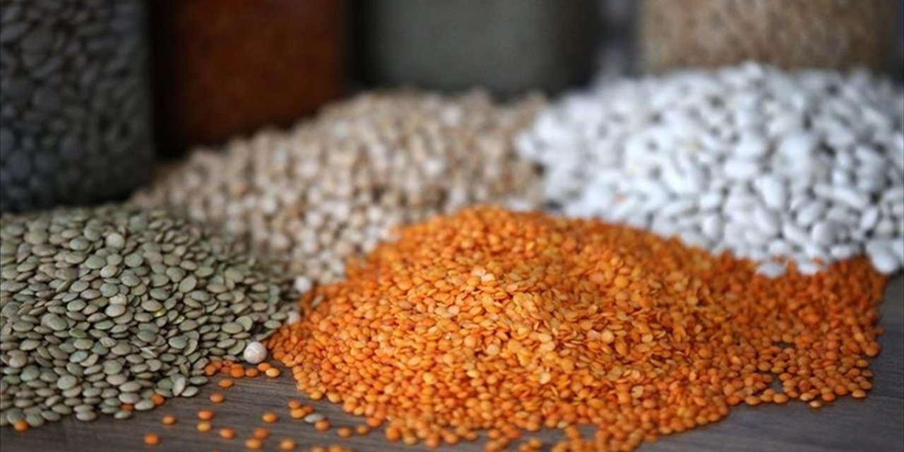 Ocak Ayında Hububat, Bakliyat ve Yağlı Tohumlar İhracatı 1,03 Milyar Dolar Oldu