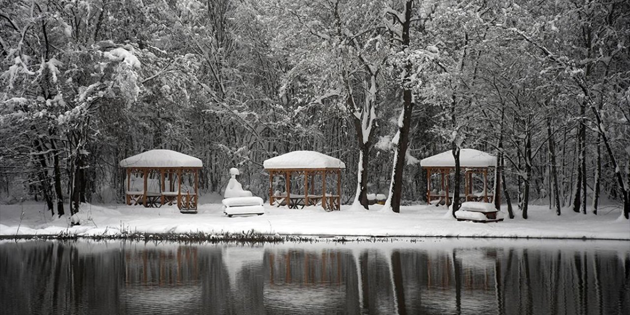 Düzce'de Korugöl Tabiat Parkı Karla Kaplandı