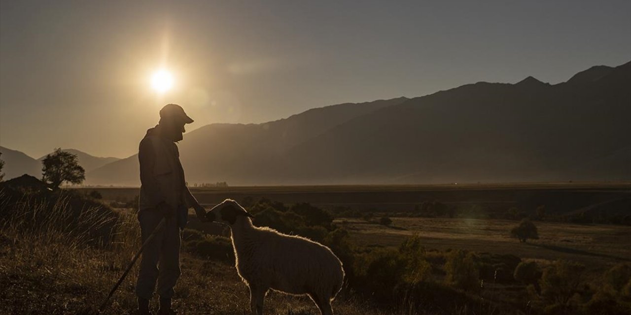 Türkiye'nin Nüfusu Artarken Kırsalda Nüfus Azalıyor