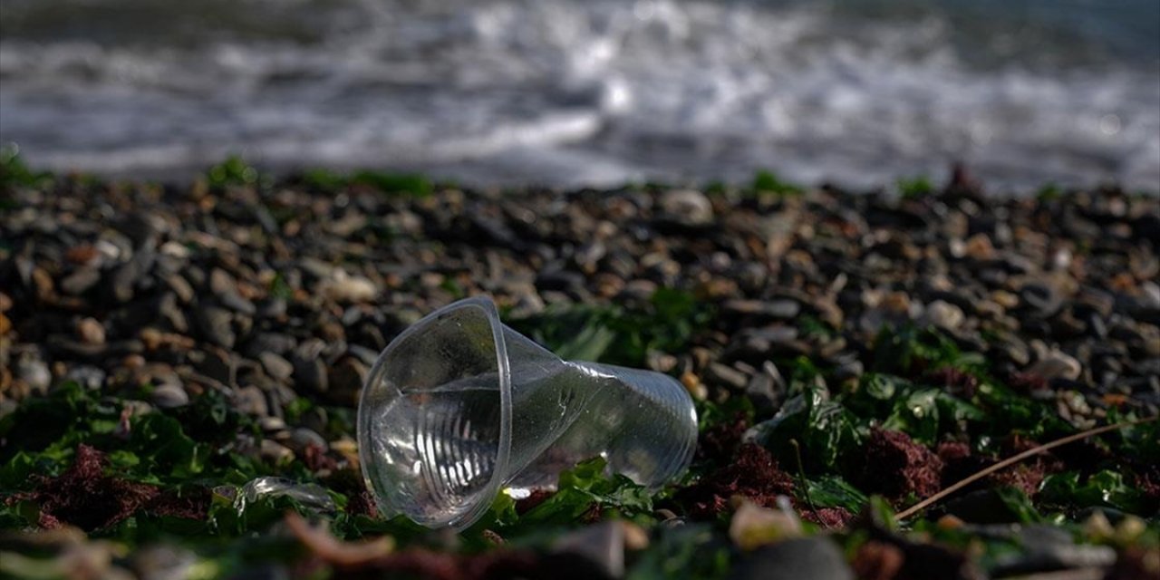 İzmir Körfezi'nin "Aşırı" Kirliliğinin 4 Mevsim Sürdüğü Belirlendi