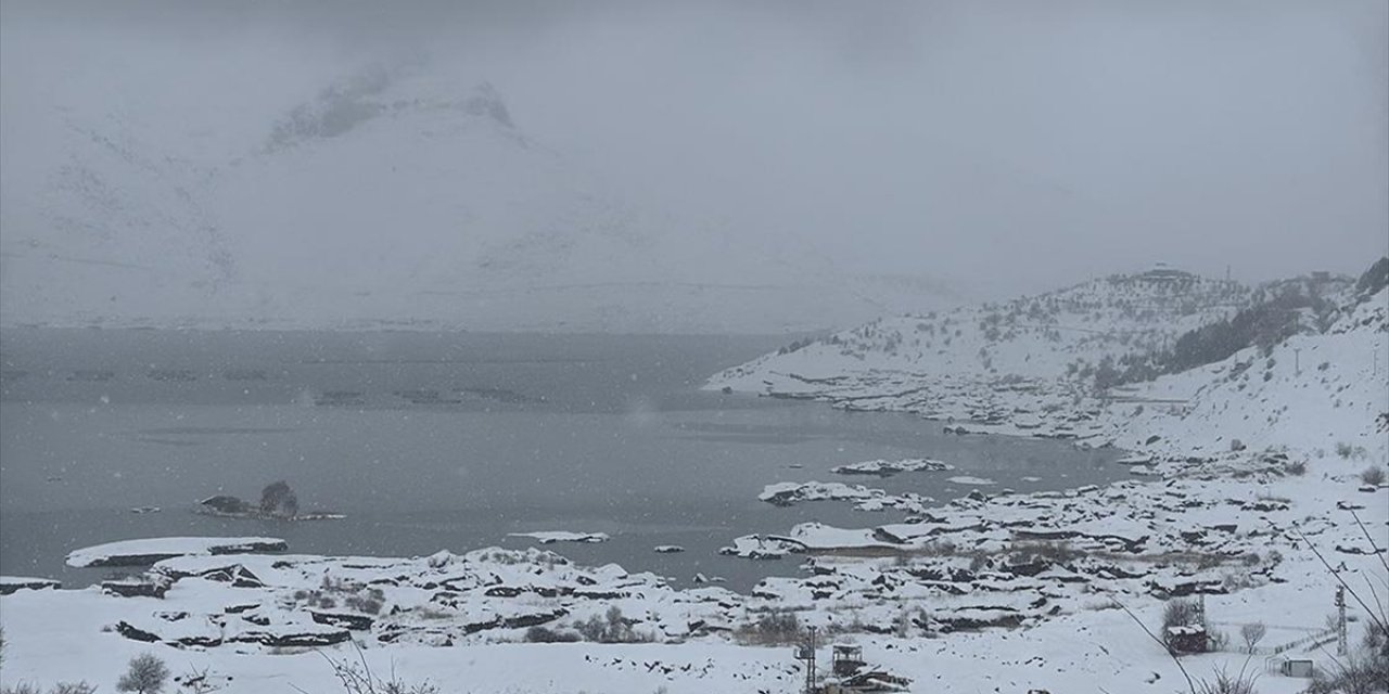 Çat Barajı'ndaki "Yüzen Adalar" Dondu