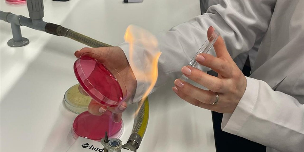 İstanbul Üniversitesi'ndeki Bilim İnsanları Uçak Yakıtında Yeni Bir Bakteri Cinsi Keşfetti