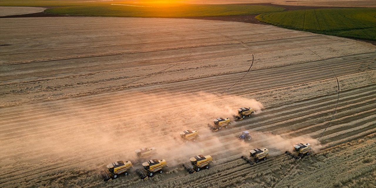 Tarım Üfe Ocakta Aylık Bazda Yüzde 2,74 Arttı