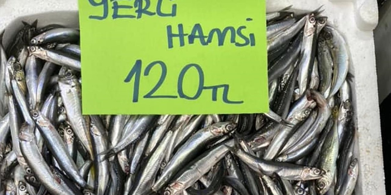 Ordu'da Hamsinin Kilogramı 120 İla 200 Liradan Satılıyor