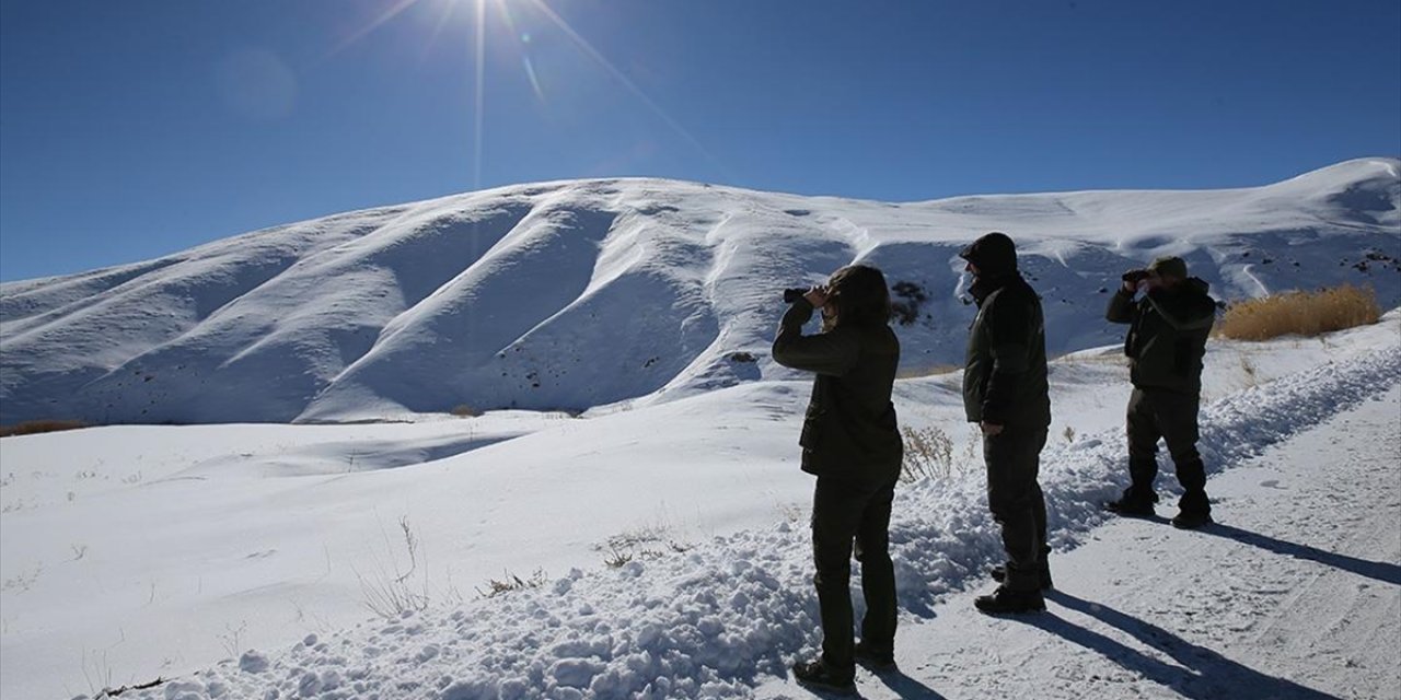 Kaçak Avcılar "Ava Giderken Avlandılar"