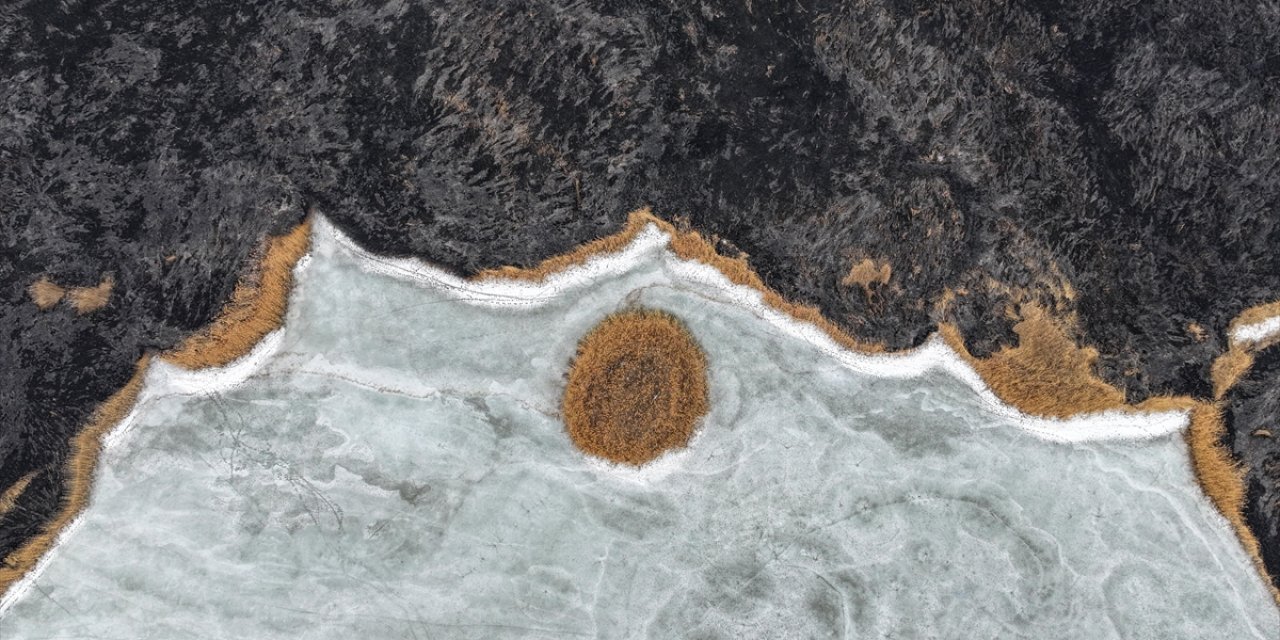 Uzmanından "Sazlık Yangınları Göçmen Kuşları Strese Sokar" Uyarısı