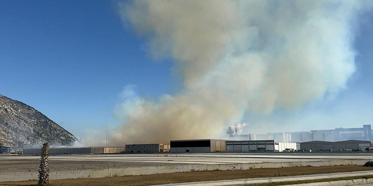 Aydın'da Kağıt Fabrikasının Depolama Alanında Çıkan Yangına Müdahale Ediliyor
