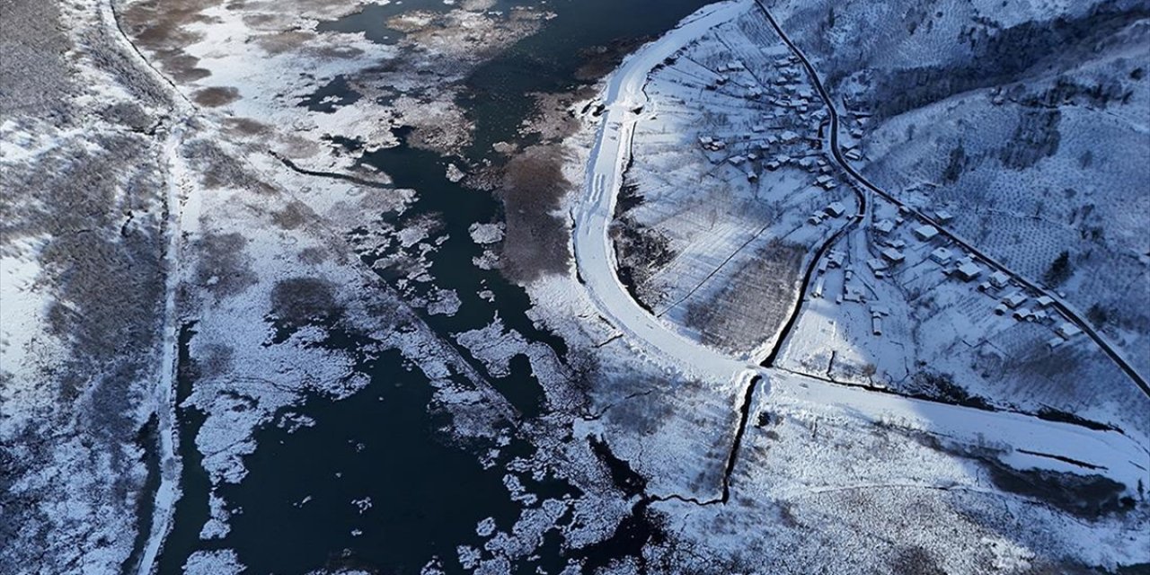 Kuş Cenneti Efteni Gölü'nde Kış Manzaraları Oluştu