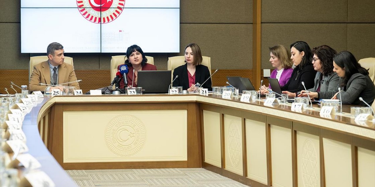 Kadına Karşı Şiddet ve Ayrımcılığın Önlenmesine Yönelik Meclis Araştırma Komisyonu, BM Türkiye Yetkililerini Dinledi