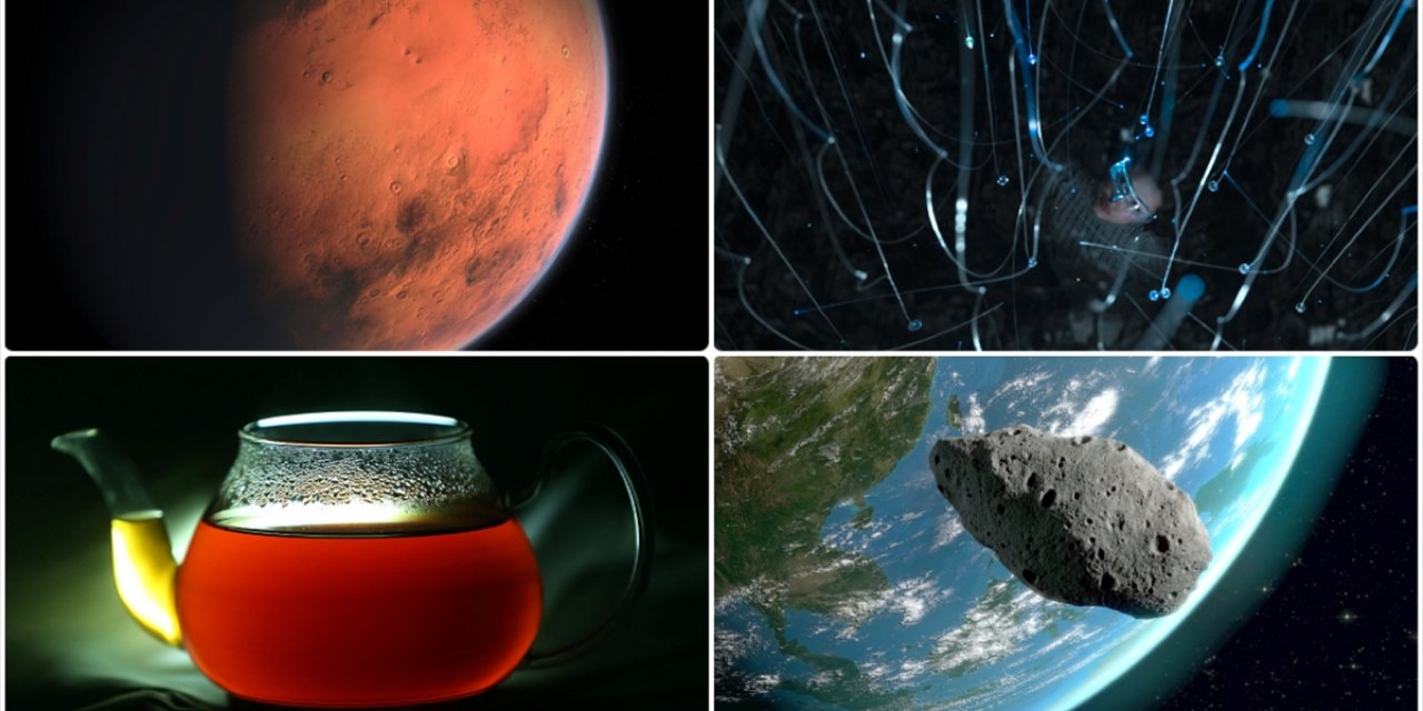 Omega-3'ün Yaşlanmadaki Etkisinden Mars'taki Keşiflere Kadar Şubattaki Bilimsel Gelişmeler