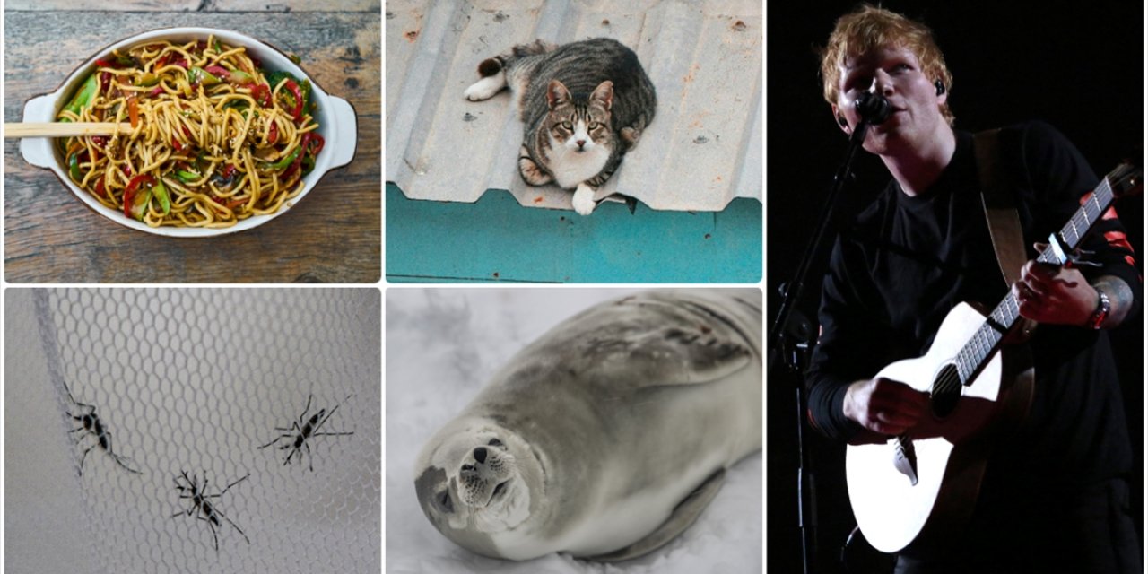 Dünya Genelinde Şubat Ayında Basına Yansıyan "Tuhaf" Olaylar