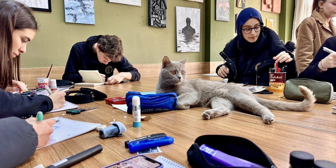 Okulun Yakınında Bulunan "Picasso" Resim Atölyesindeki Derslere Renk Katıyor