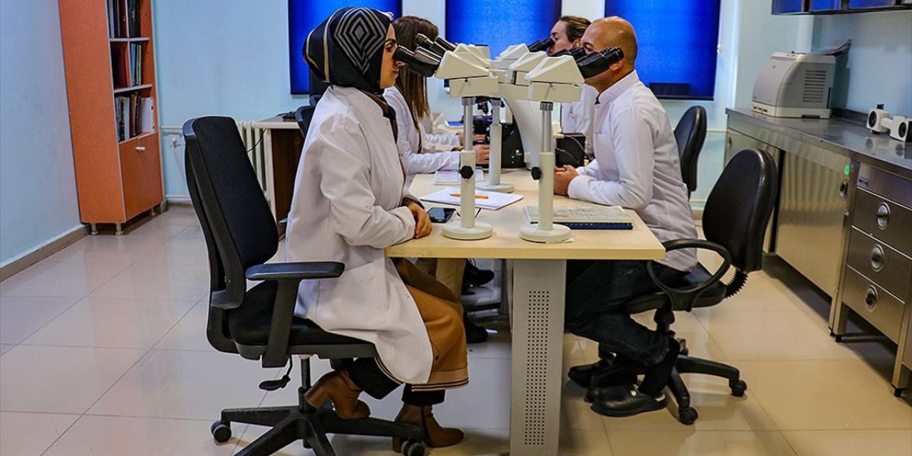 Van'da Kurulan Patoloji Laboratuvarıyla Hastalıklar Daha Erken Teşhis Ediliyor