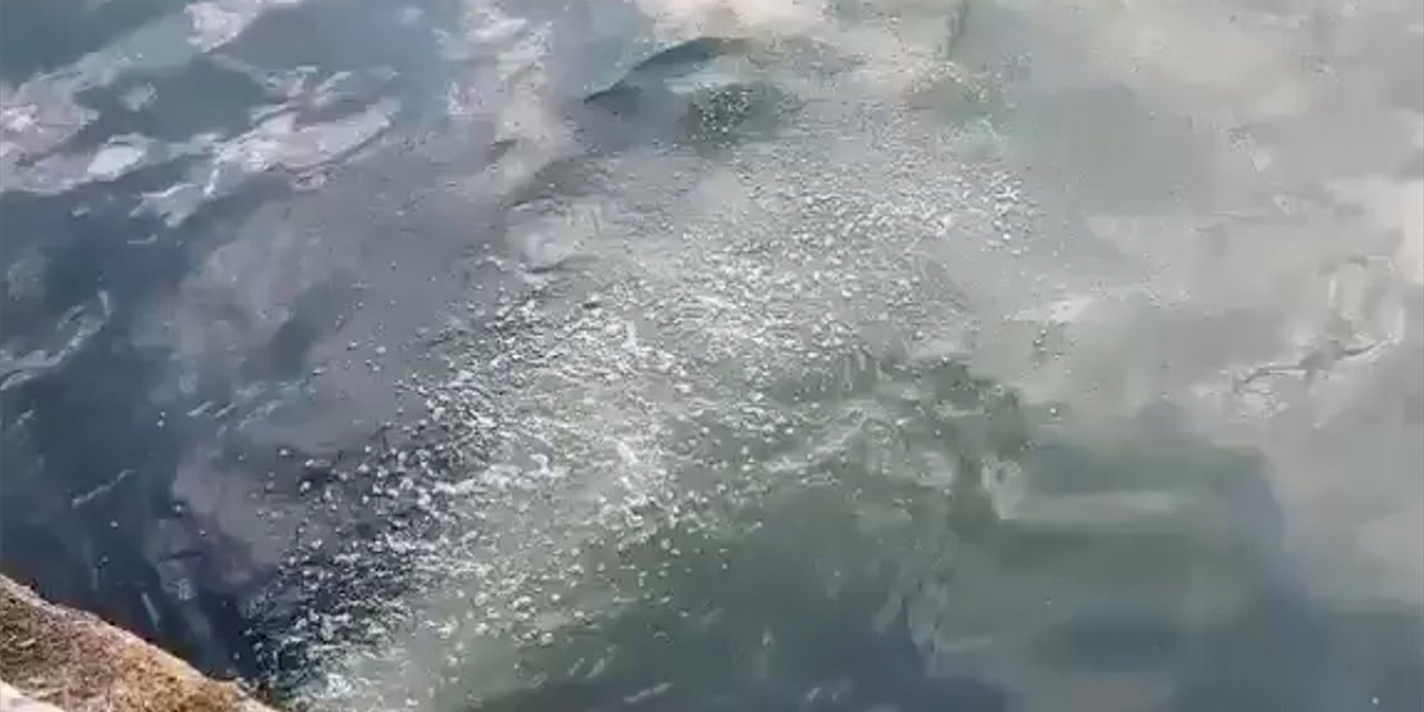 Marmara Denizi'ne Atık Su Deşarjı Nedeniyle İski'ye 2,6 Milyon Lira Ceza