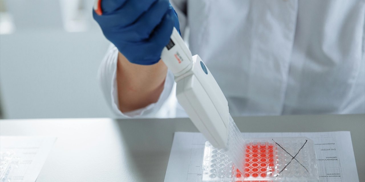 Araştırmacılar, Genetiği Değiştirilen Farelere Soyu Tükenmiş Yünlü Mamut Benzeri Özellikler Kazandırdı