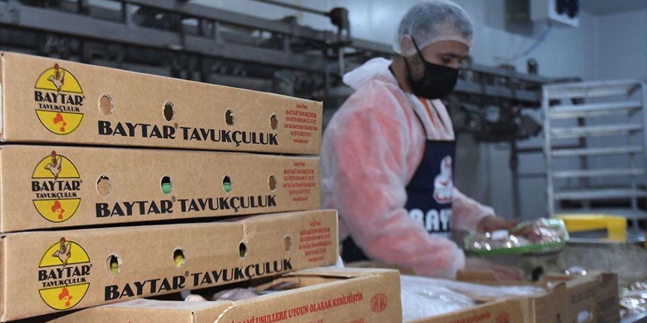 Devlet Desteğiyle Büyüttüğü İşletmede Yılda 300 Ton Tavuk Eti İşliyor