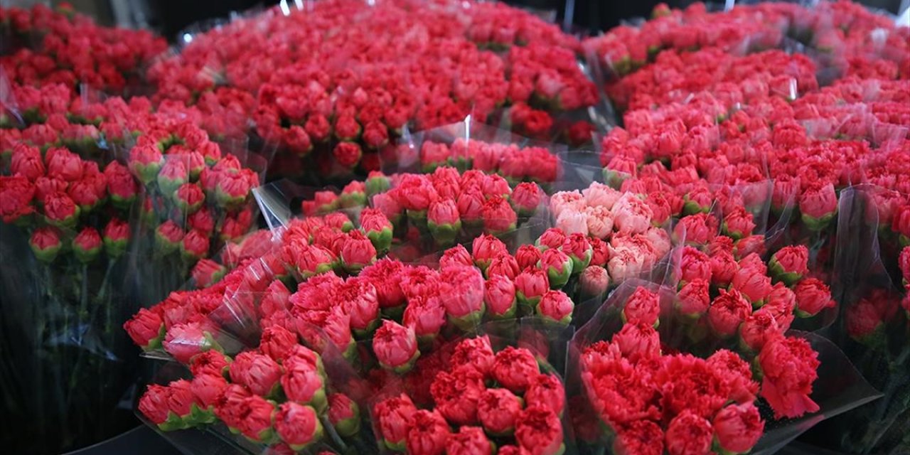Dünya Kadınlarına Türkiye'den 75 Milyon Dal Çiçek