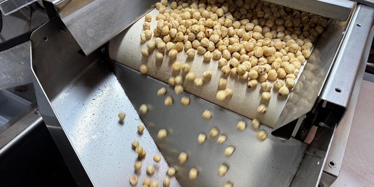 Ticaret Borsalarında 6 Ayda 479 Bin Tonu Aşkın Fındık İşlem Gördü